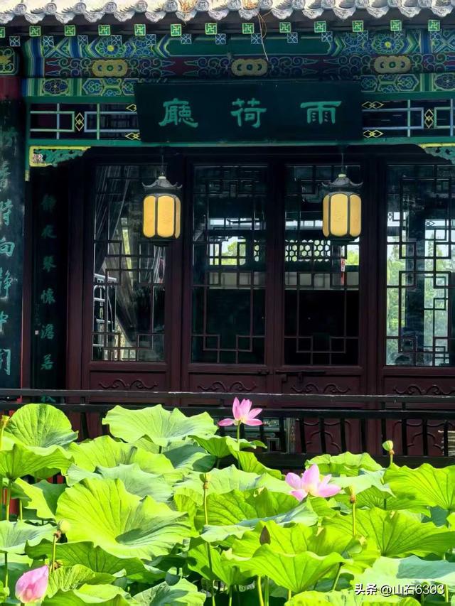 《雨荷厅畔荷香美女乐》～新华社原军事记者陶俊峰泉城大明湖美拍