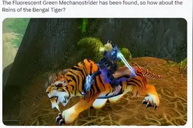 魔兽世界最珍稀的“老虎”可能出现在探索服，全球目前仅一只图片