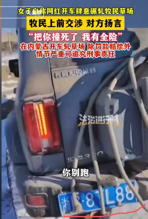 女子开车碾压草场后续：扬言撞死牧民，真实身份被扒，公司被牵连