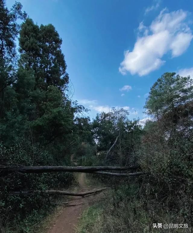 来一场短暂的城市逃离!盘龙这些登高好去处你知道吗?