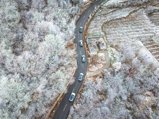 川西高原百万株梨花，进入观赏期，错过就要等一年