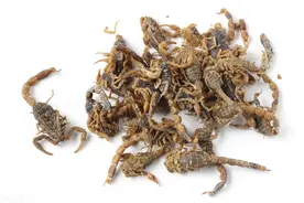 脑出血——我有一方，效果出众，得之我幸，今日公之于众！图片