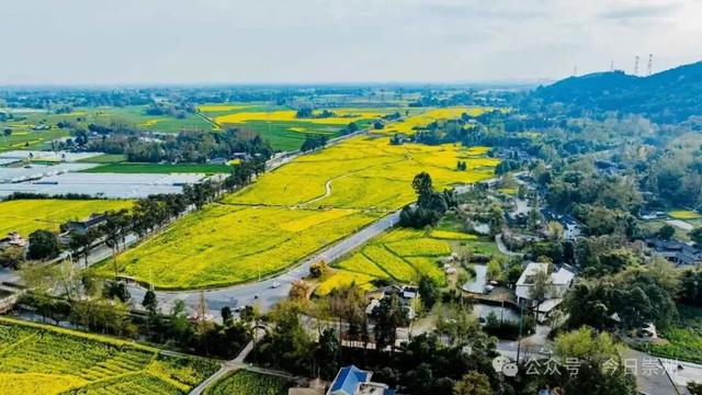 王婆说媒空降崇州！ 快来街子，“马”上说媒，邂逅新年良缘！