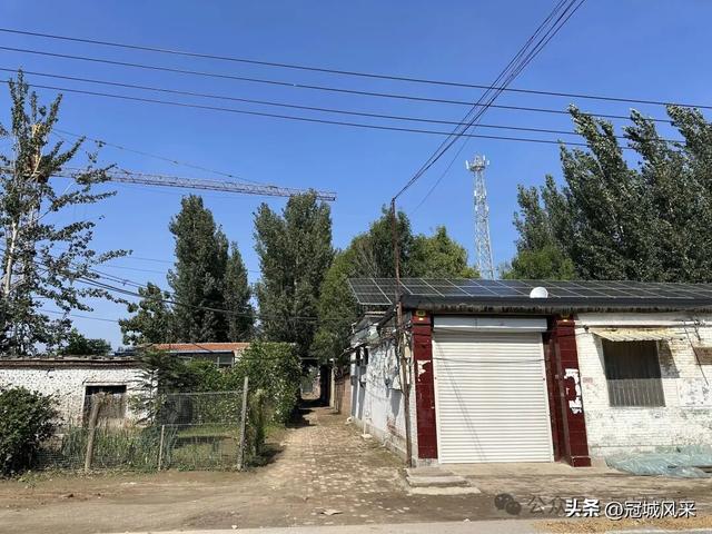 冠县乡韵·兰沃乡大柳邵村