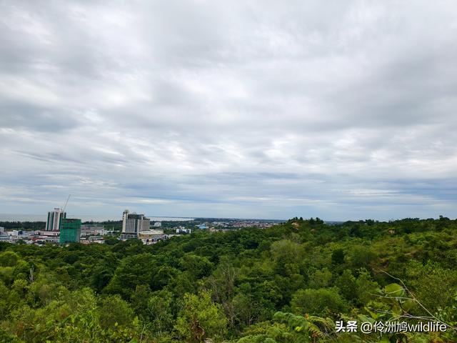 马来西亚(33)砂拉越州⑦美里市加拿大山、海滨公园等