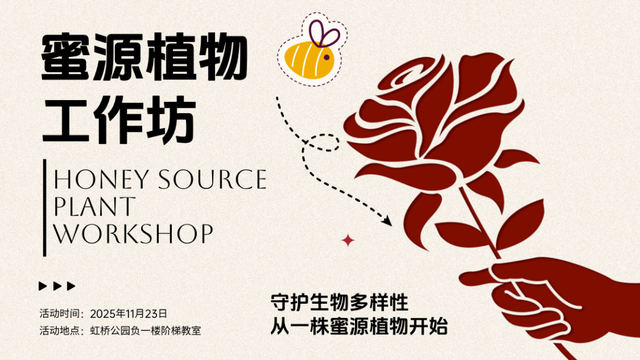 闭眼冲！11月光明公园这样玩！