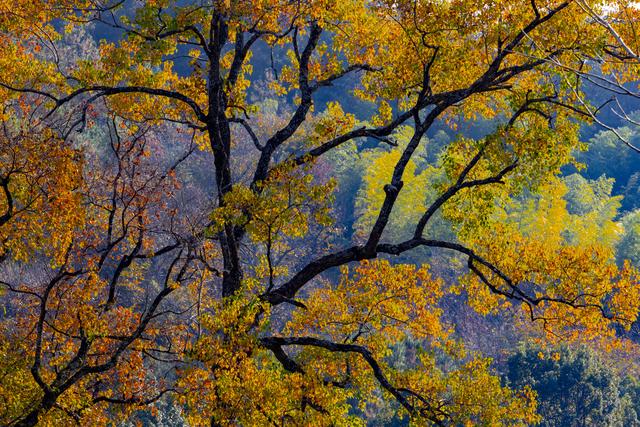 大别山中徐凤冲