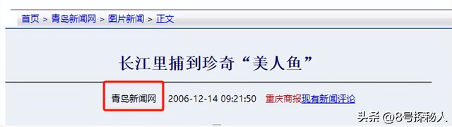 2006年长江惊现“美人鱼”，重庆渔民误捕一条	，专家：出水必死