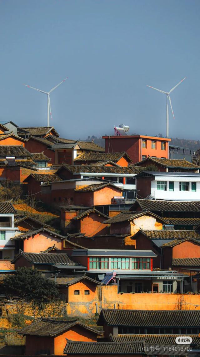 美疯了！高铁直达“四川小三亚”，花海开爆！草莓按盆吃，烧烤香迷糊！