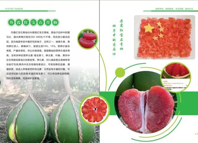 游在鹰潭｜这座城市秋日杀疯了！4重甜感暴击，谁来谁上头！「全球学子嘉游赣 奇绝鹰潭逍遥游」