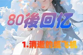 消逝的纸飞机——80回忆录图片