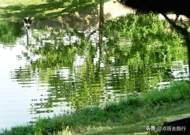 成都最美拍照公园，城市中的草原牧场，不要门票，地铁公交直达！