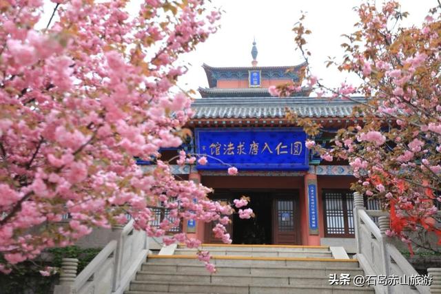 接下来的四月赤山景区是这样的……