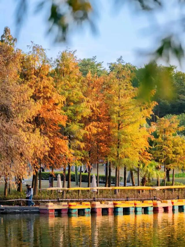 珠海市区或市区附近有什么赏秋的地方？