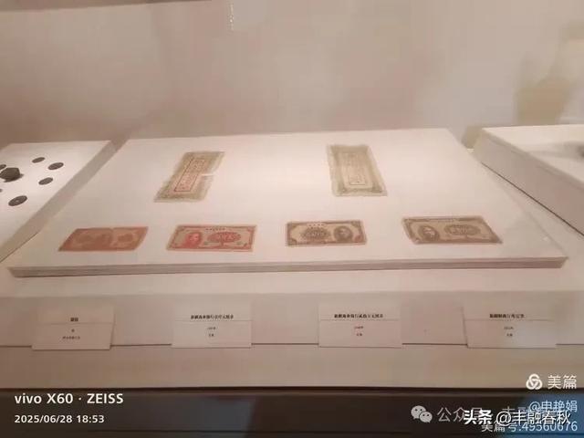探秘丝路明珠,邂逅巴楚千年文明——走进新疆巴楚博物馆|申艳娟