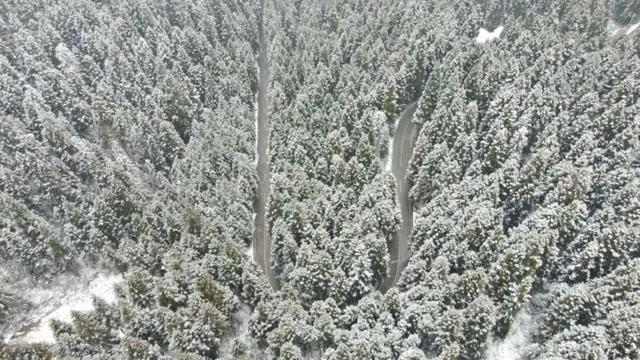 雪落恩施，大峡谷与坪坝营开启仙境模式！