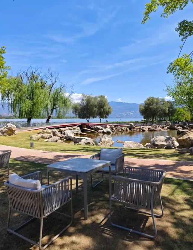 比大理浪漫！比昆明更近！高铁直达阳光小城，2万株蓝花楹美疯！观海登山，美食吃到爽！