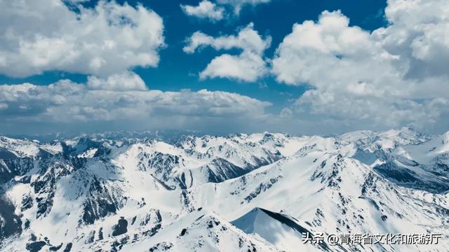 初冬青海，一场静谧与热烈并存的生命礼赞