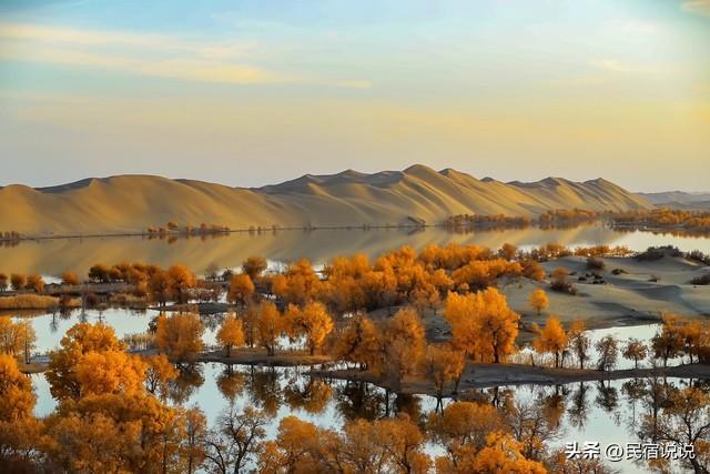 470万亩胡杨林带你秋游大美新疆