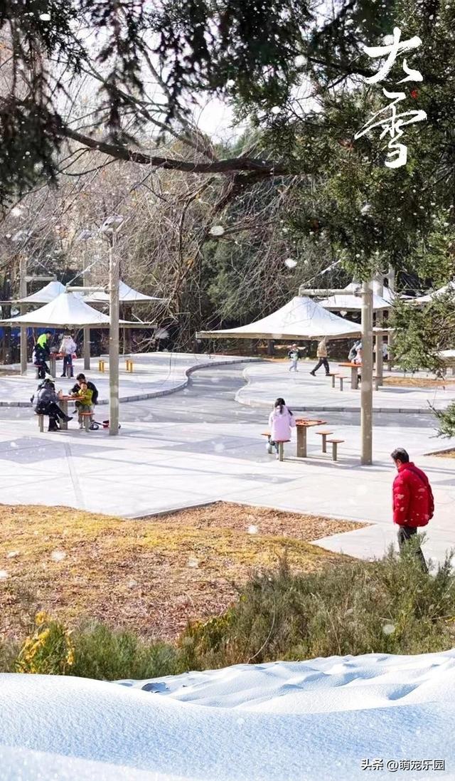 大雪节气来临，农民笑开花，城里人却愁眉苦脸