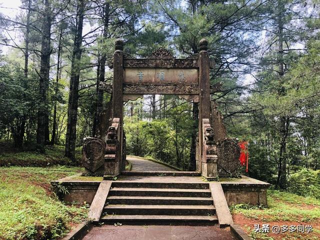 楚雄紫溪山：一棵叫“撑腰”的老树，用六百多年接住了凡人的期待