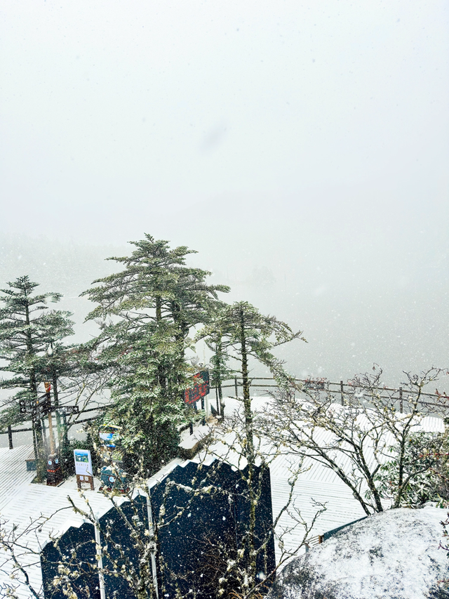 四川人盼初雪的心情谁懂！