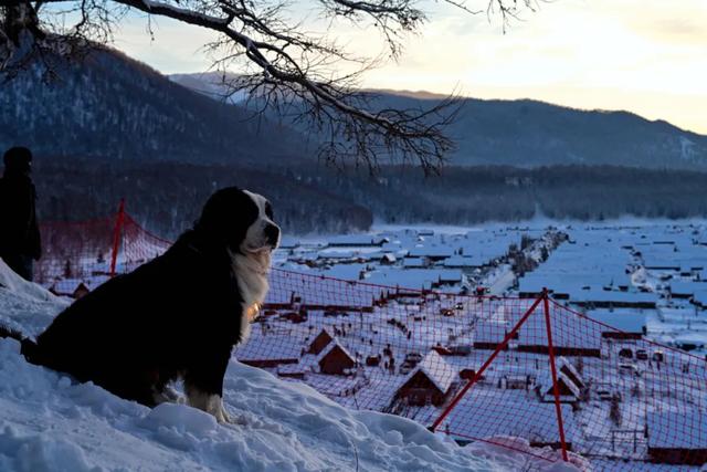 千万别在冬天去新疆!因为去了就回不来了……