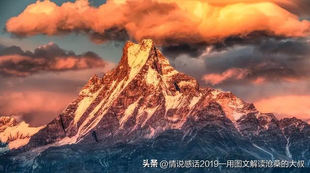生态拷问：当商业作秀碾压藏区净土，我们如何守护最后防线？