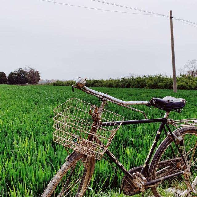 清明踏青最宜的 6 个古寨，适合全家人寻春访古，都清新自在！