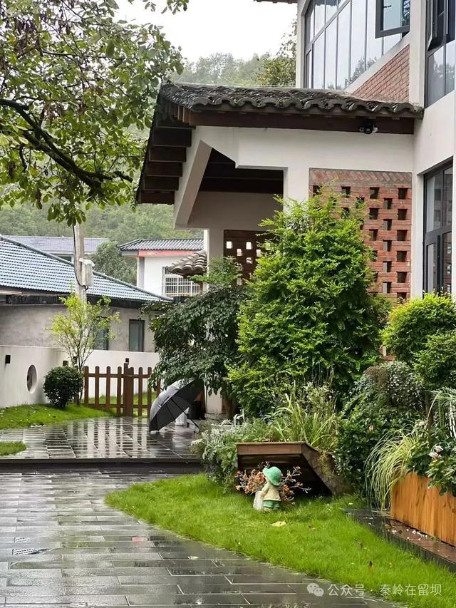 当秋雨掠过秦岭的山脊，汉中悄悄美成写意水墨画
