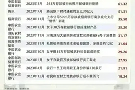 2024年315曝光名单出炉图片