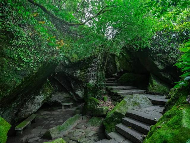 全域好水 亲水纳凉 | 热浪围城？武夷山“清凉刺客”申请出战