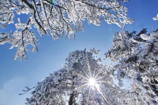 富阳这个网红村，游客车辆从山脚排到村里！