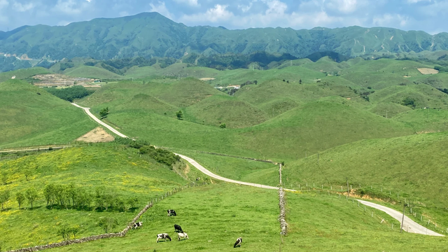 一脚油门跨山海，从南山牧场的清风，到桂林山水的温柔