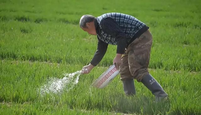 央视紧急曝光！这三类毒蔬菜全国流通，买菜切记避开三样！