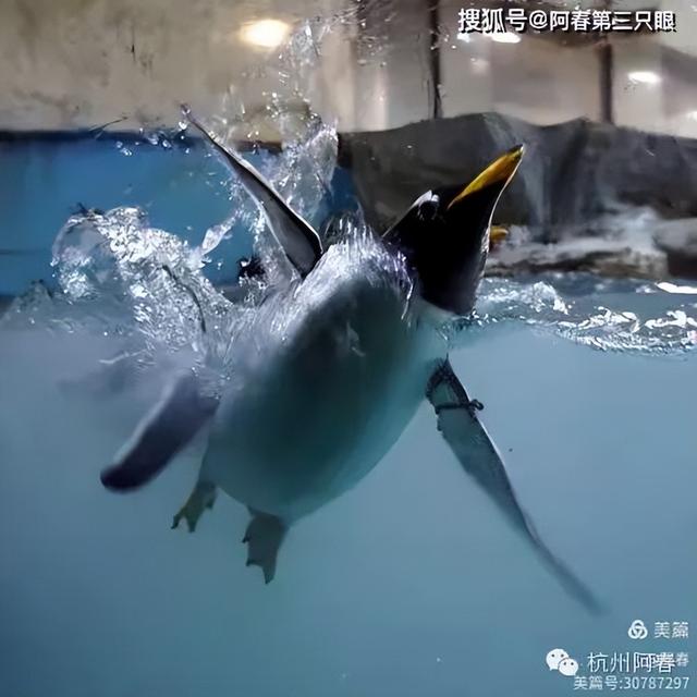 大连 之海洋世界