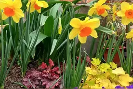 退休打油诗，建议60岁以上的都看一看图片