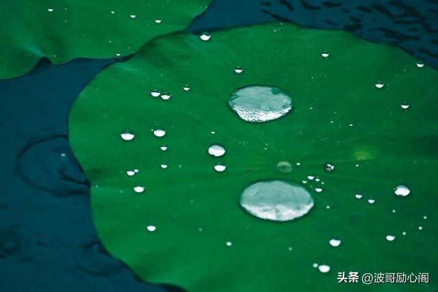 属蛇人：这辈子最大的靠山，不是钱，不是权，而是这6大法宝