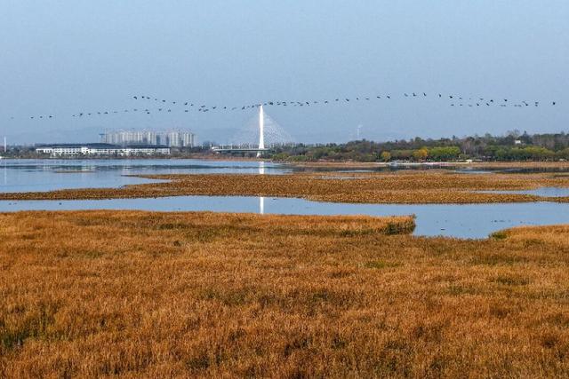 长治初冬美成调色盘