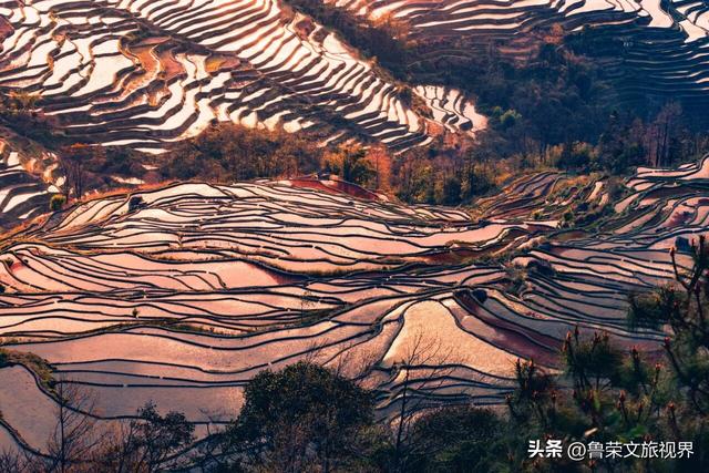 元阳梯田：大地曲线里的千年秘境，五大打卡点解锁地球最美光影