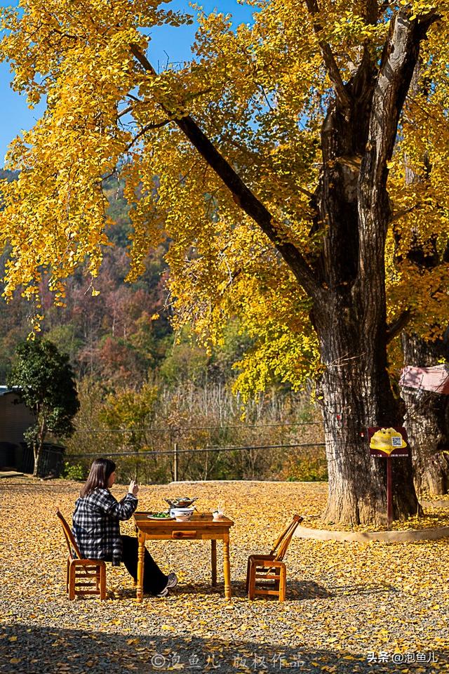 一份攻略解锁礼乐随州｜从编钟之乡到炎帝故里，叩问「何以中国」