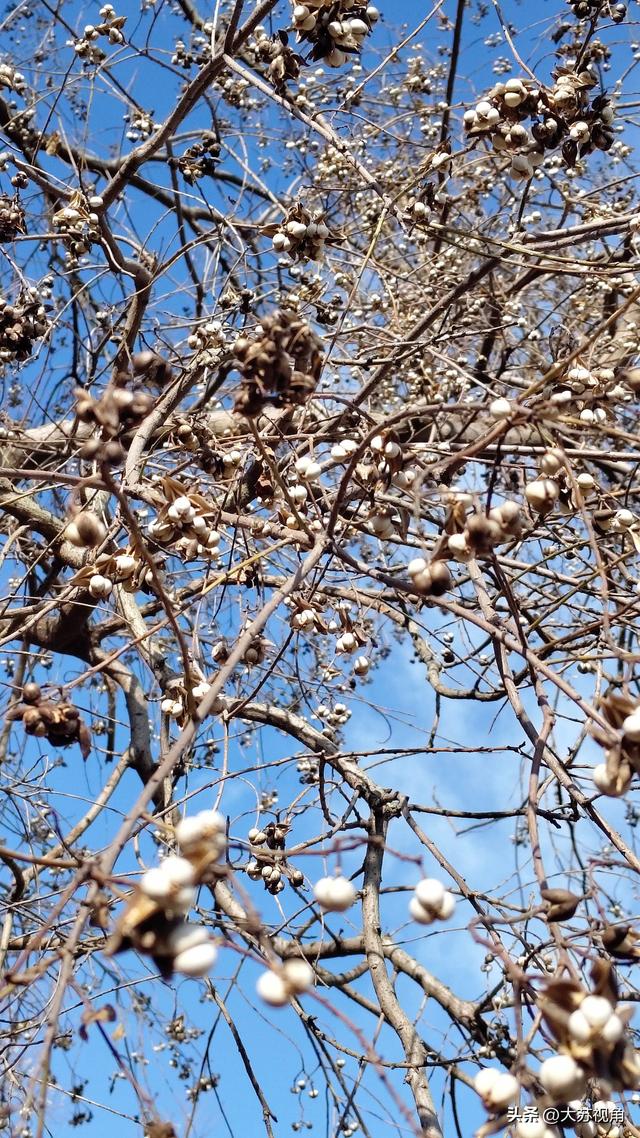 为什么南京年轻人一到秋天就emo？突然慌了“这一年又白过”