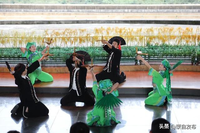 哈尼梯田文化博物馆：守根脉 促团结丨民族团结进步创建“十进”