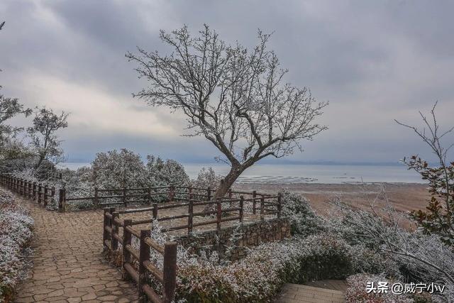 琼枝映草海 雾凇绘高原——威宁草海北坡生态公园现冬日限定仙境