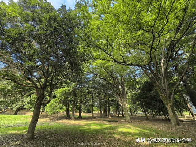 非凡价格 非凡体验 华为Mate XT体验 2万块和Z Fold6打的有来有回