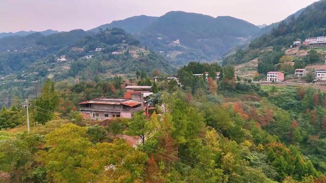 重访开州岳溪善字山:与一座山村的秋日对话,追寻记忆中的乡恋