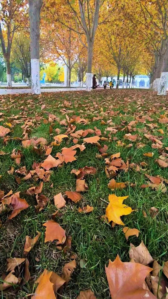 这么近那么美~猜猜这是哪？