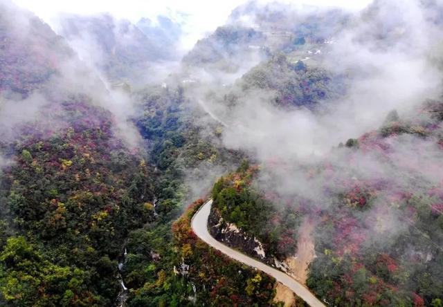 徽县大河店镇：层林尽染处 藏着最治愈的秋日时光
