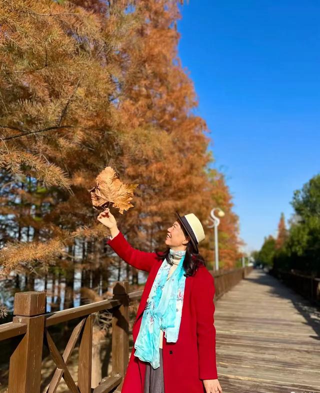 冬日里的红杉林