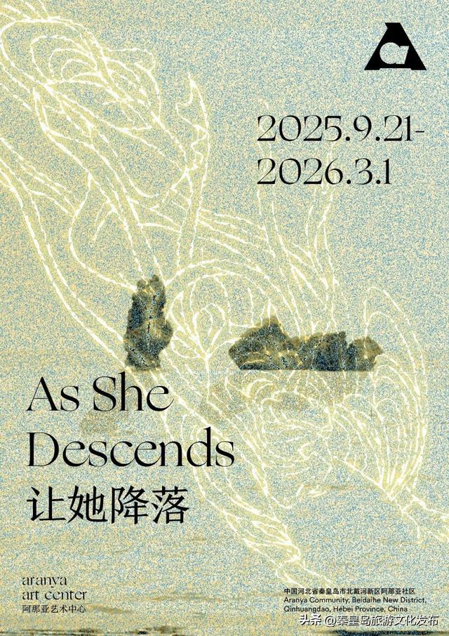 阿那亚十一海边游玩指南｜舞蹈节、雀跃镇大师赛、狗狗聚会、艺术展览，邂逅理想假日